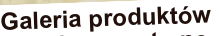 shapeimage_2_link_0